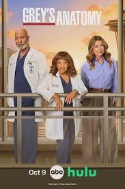 实习医生格蕾 第二十二季