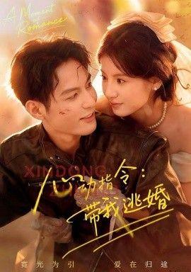 心动指令：带我逃婚，玫瑰窃贼