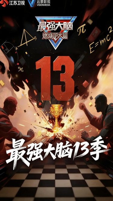 最强大脑 第十三季