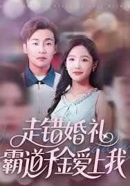 走错婚礼霸道千金爱上我