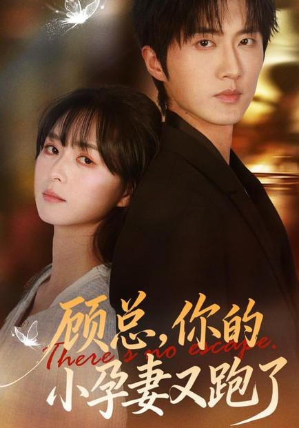顾总，你的小孕妻又跑了
