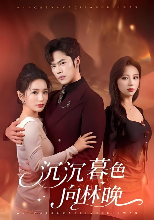 沉沉暮色向林晚