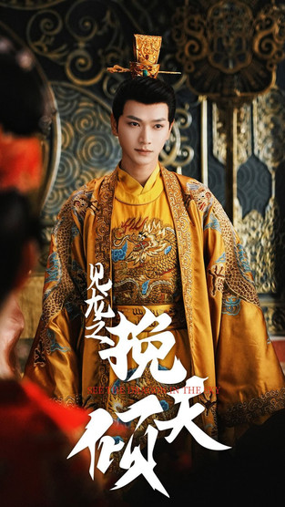 挽天倾