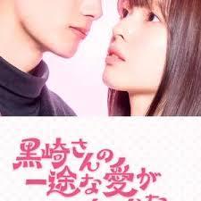黑崎先生停不下来的专一之爱
