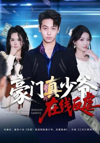 豪门真少爷在线反虐