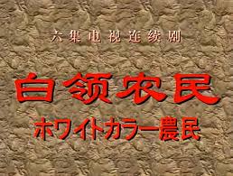 白领农民